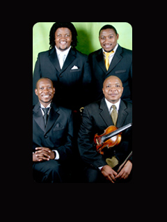 Violin Tenors